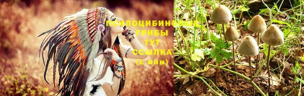 гашиш Аркадак
