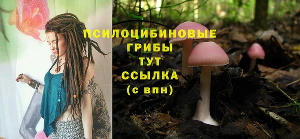 прущий лед Пролетарск