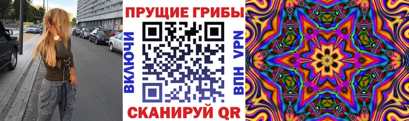 Псилоцибиновые грибы Magic Shrooms где продают Новоульяновск